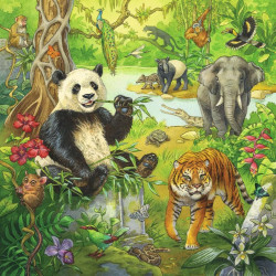 Ravensburger - Im Urwald, 3 x 49 Teile