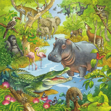 Ravensburger - Im Urwald, 3 x 49 Teile