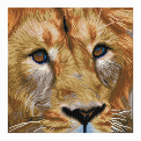 Diamond Dotz - Diamond Painting Löwe