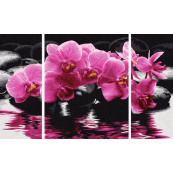 Schipper Malen-nach-Zahlen - Meisterklasse Triptychon - Orchideen
