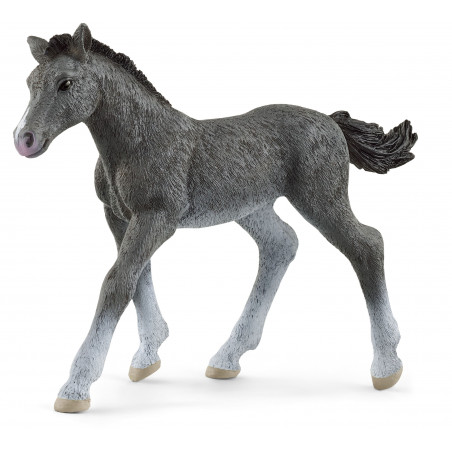 Schleich - Horse Club - Trakehner Fohlen Schleich - Horse Club - Trakehner Fohlen
