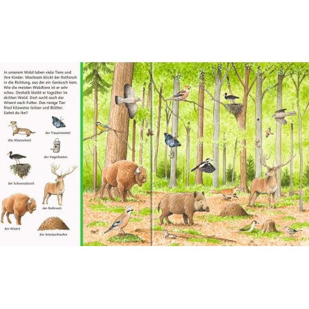 Ravensburger - Sachen suchen - Tiere im Wald
