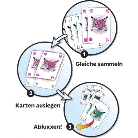 Amigo Spiele - Abluxxen