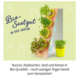 KOSMOS - Microgreen-Garten