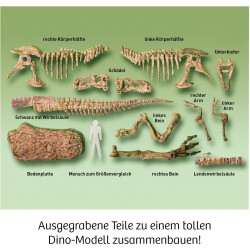 KOSMOS - T-Rex 3D