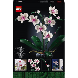 LEGO Icons 10311 - Orchidee