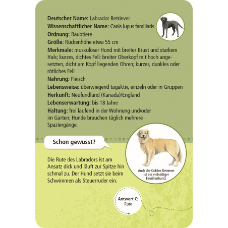 moses. - Expedition Natur 50 Haustiere moses. - Expedition Natur 50 Haustiere
