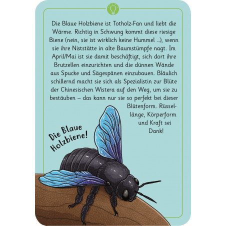 moses. - Expedition Natur 50 wundersame Tierrätsel - Insekten