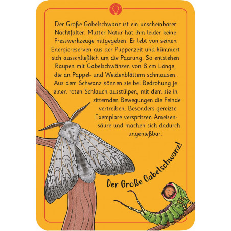 moses. - Expedition Natur 50 wundersame Tierrätsel - Insekten