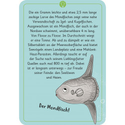 moses. - Expedition Natur 50 w. Tierrätsel Meere & Strand