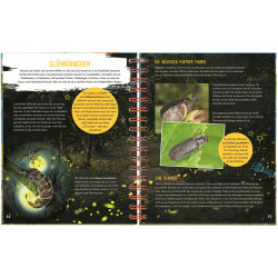 moses. - Expedition Natur: Das große Sommerbuch
