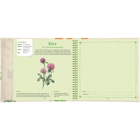 moses. - Blüten & Blätter sammeln