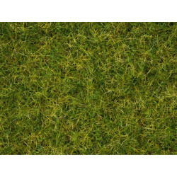 Noch - Master-Grasmischung Sommerwiese