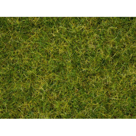 Noch - Master-Grasmischung Sommerwiese