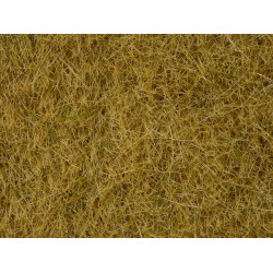 Noch - Wildgras, beige, 6 mm