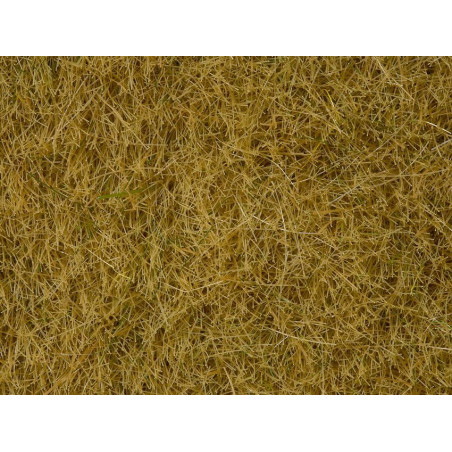 Noch - Wildgras, beige, 6 mm
