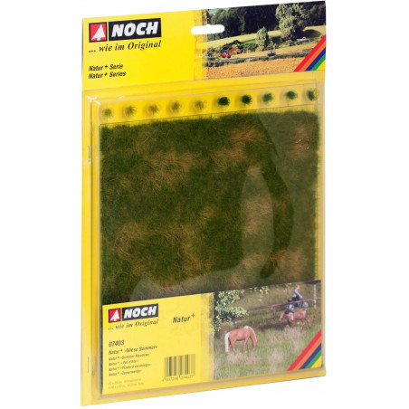 Noch - Natur plus Wiese Sommer