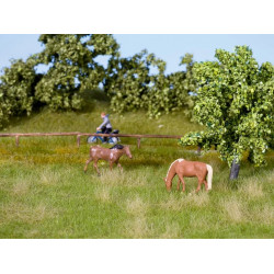 Noch - Natur plus Wiese Sommer