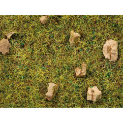 Noch - Steinige Bergwiesen-Gras Noch - Steinige Bergwiesen-Gras
