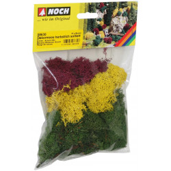 Noch - Dekormoos herbstlich sortiert