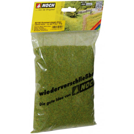 Noch - Sommerwiesen-Gras