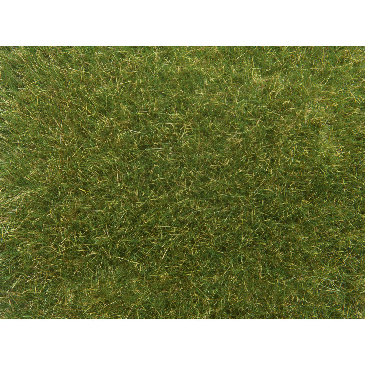 Noch - Wildgras, mittelgrün, 9 mm, 50 g