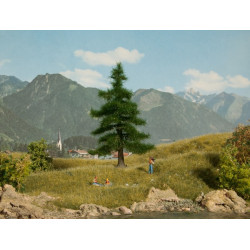 Noch - Nordmanntanne 12 cm