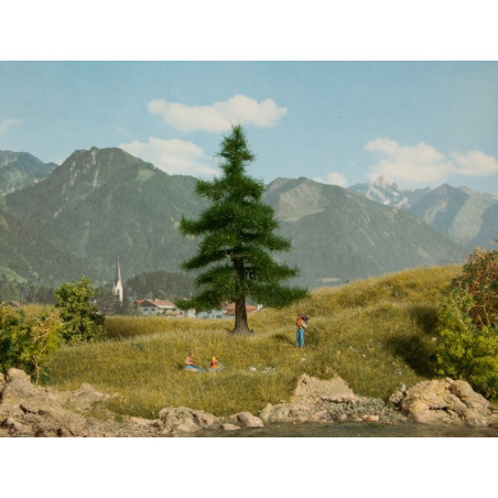 Noch - Nordmanntanne 12 cm