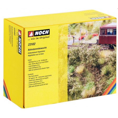 Noch - Bahndammbewuchs