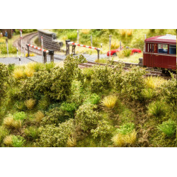 Noch - Bahndammbewuchs