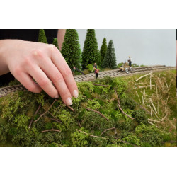 Noch - Bahndammbewuchs