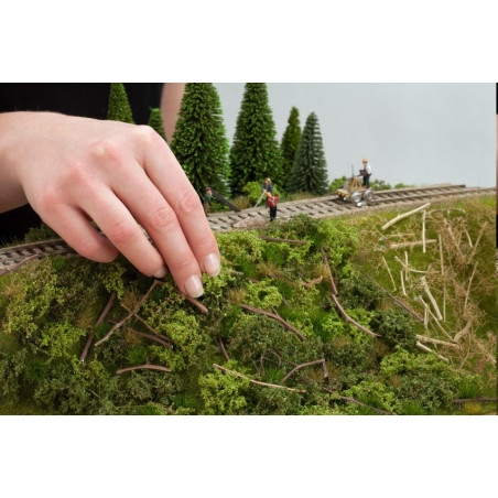 Noch - Bahndammbewuchs