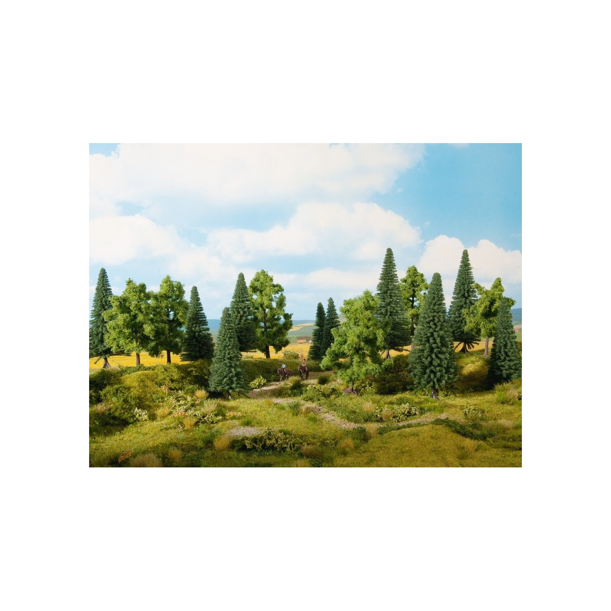 Noch - Mischwald