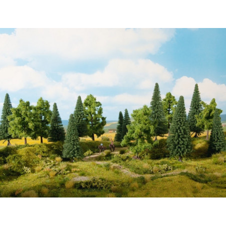 Noch - Mischwald