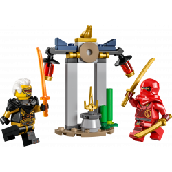 LEGO Ninjago 30650 - Kais und Raptons Duell im Tempel