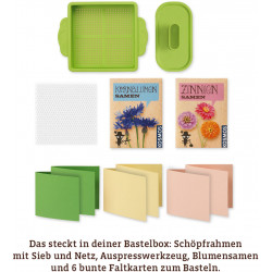 KOSMOS - AllesKönnerKiste - Blühendes Papier