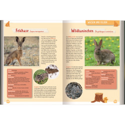 moses. - Exp Natur Mein großer Naturführer Tiere & Pflanzen moses. - Exp Natur Mein großer Naturführer Tiere & Pflanzen