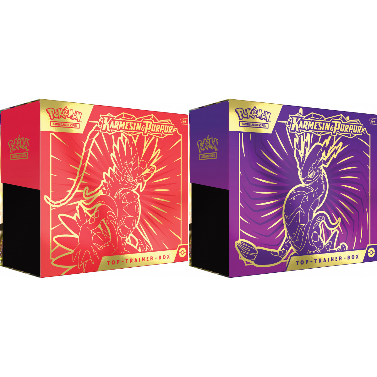 Pokémon TCG - KP01 Top-Trainer Box DE