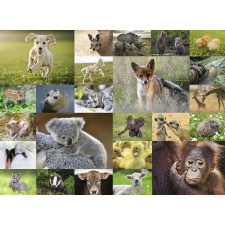 Ravensburger - Süße Tierbabys, 200 Teile Ravensburger - Süße Tierbabys, 200 Teile