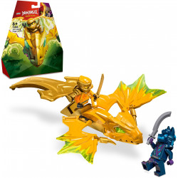 LEGO Ninjago 71803 - Arins Drachengleiter