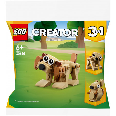 LEGO Creator 30666 - Geschenkset mit Tieren