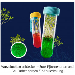 KOSMOS - Fun Science Aqua-Gel-Pflanzen