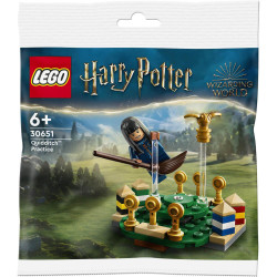 Quidditch Practice