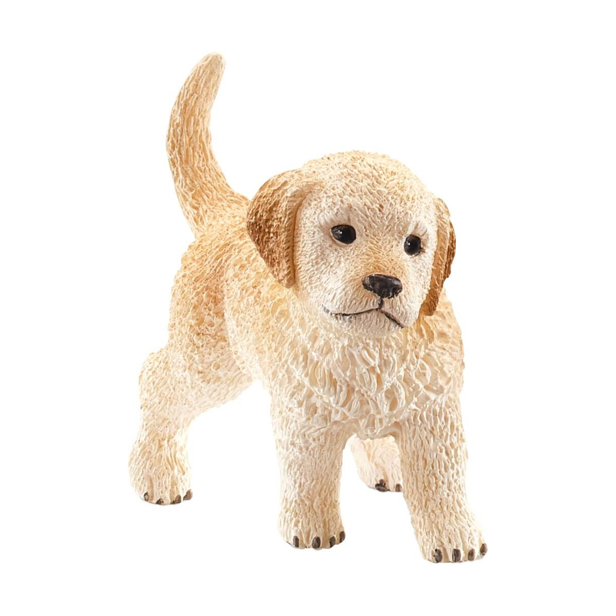 Golden Retriever Welpe