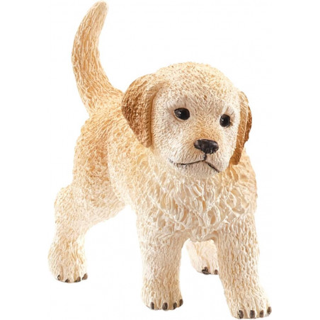 Golden Retriever Welpe