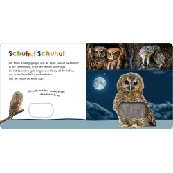 H”r rein: Tiere in der Nacht