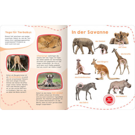 Geruschebuch: Tierbabys