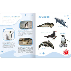 Geruschebuch: Tierbabys