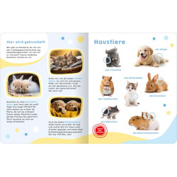 Geruschebuch: Tierbabys