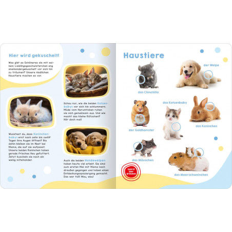 Geruschebuch: Tierbabys